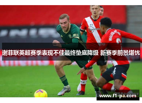 谢菲联英超赛季表现不佳最终垫底降级 新赛季前景堪忧